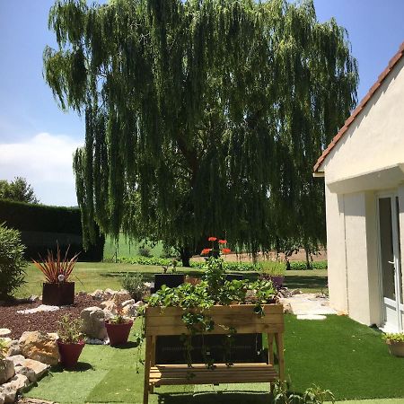 Domaine De La Vigne Bed and Breakfast Cadalen Exteriör bild