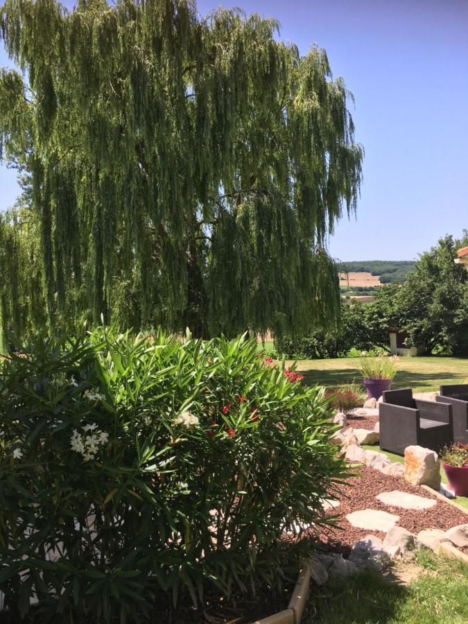 Domaine De La Vigne Bed and Breakfast Cadalen Exteriör bild