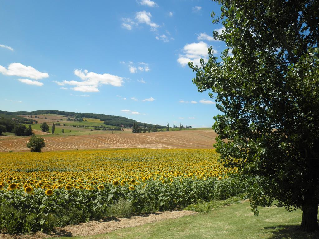 Domaine De La Vigne Bed and Breakfast Cadalen Exteriör bild