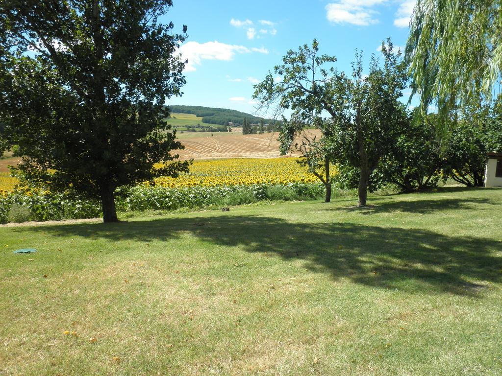 Domaine De La Vigne Bed and Breakfast Cadalen Exteriör bild