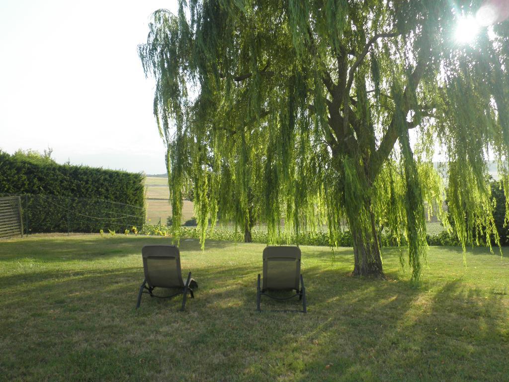 Domaine De La Vigne Bed and Breakfast Cadalen Exteriör bild