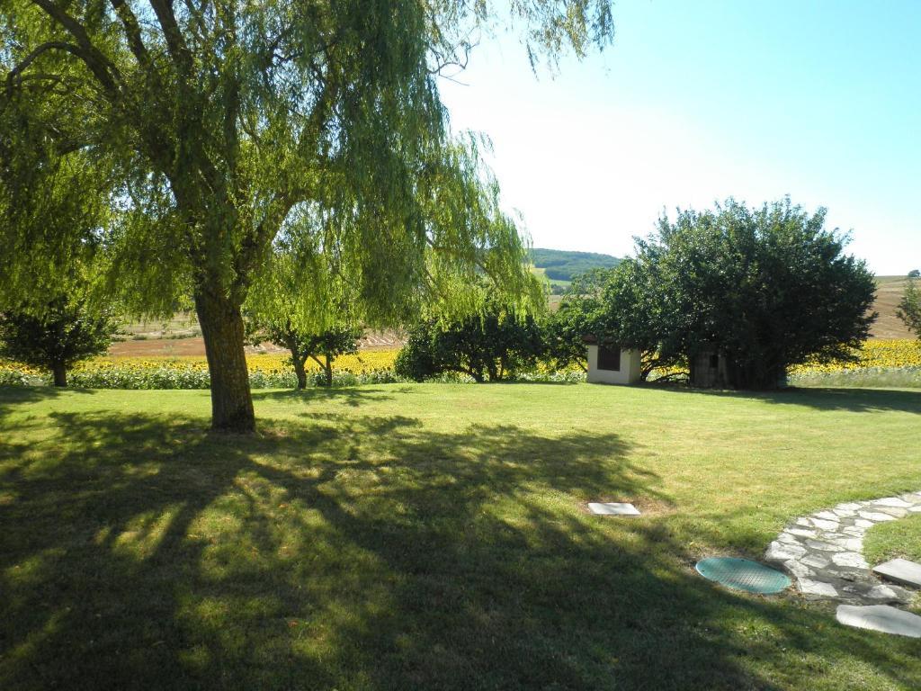 Domaine De La Vigne Bed and Breakfast Cadalen Exteriör bild